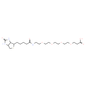 (+)-Biotin-PEG4-propionic acid