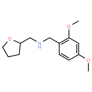 (2,4-Dimethoxy-benzyl)-(tetrahydro-furan-2-yl-methyl)-amine