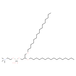 1,2-di-O-hexadecyl-sn-glycero-3-phosphocholine