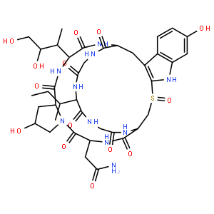 α-Amanitin