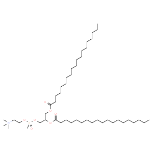 1,2-dinonadecanoyl-sn-glycero-3-phosphocholine
