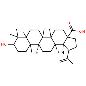 白桦脂酸