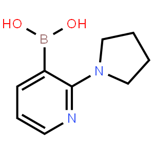 2-(吡咯烷-1-基)吡啶-3-硼酸