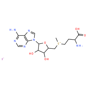 S-(5′-Adenosyl)-L-methionine iodide