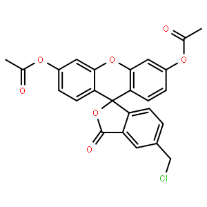 5-氯甲基荧光素二乙酸酯,136832-63-8