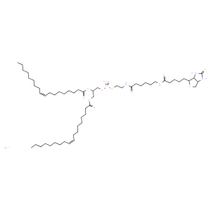 1,2-dioleoyl-sn-glycero-3-phosphoethanolamine-N-(cap biotinyl) (sodium salt)