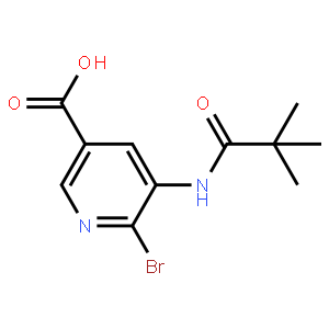 6-Bromo-5-pivalamidonicotinic acid