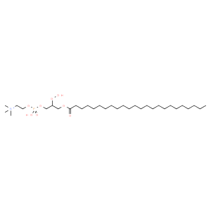 1-lignoceroyl-2-hydroxy-sn-glycero-3-phosphocholine