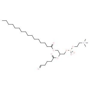 1-palmitoyl-2-(5'-oxo-valeroyl)-sn-glycero-3-phosphocholine