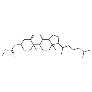 cholesteryl methyl carbonate