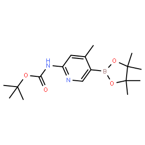 2-tert-Butyloxycarbonylamino-4-methylpyridine-5-boronicacidpinacolester