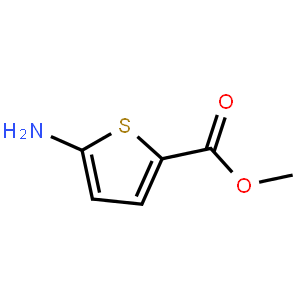 5-氨基-噻吩-2-甲酸甲酯