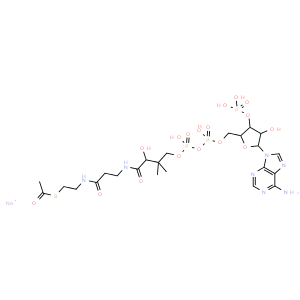 Acetylcoenzyme A钠盐