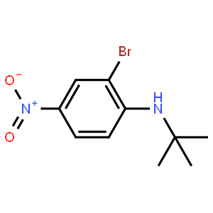 N-t-Butyl 2-bromo-4-nitroaniline