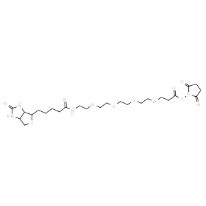 15-BiotinlaMino-4,7,10,13-dioxanonanoic acid N-hydroxysucciniMidyl ester