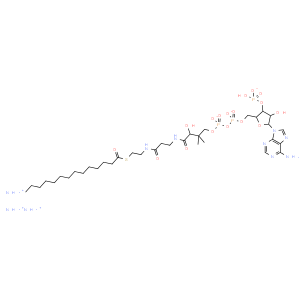 myristoyl Coenzyme A (ammonium salt)