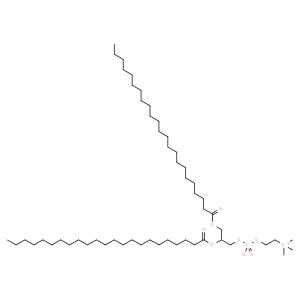 1,2-ditricosanoyl-sn-glycero-3-phosphocholine