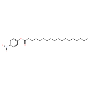 4-Nitrophenyl stearate