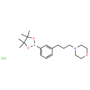 3-(3-morpholinopropyl)phenylboronic acid, pinacol ester, HCl