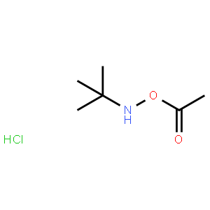 O-乙酰基-N-叔丁基羟胺盐酸盐,851074-40-3