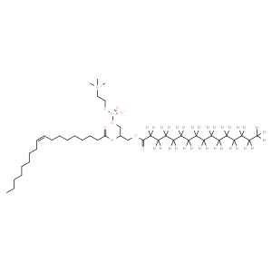 1-palmitoyl-d31-2-oleoyl-sn-glycero-3-phosphocholine