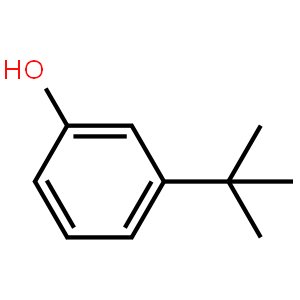 3-叔丁基苯酚