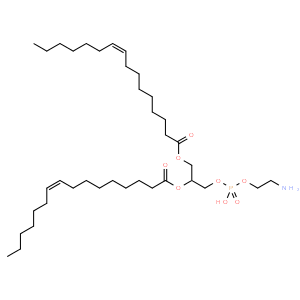 1,2-dipalmitoleoyl-sn-glycero-3-phosphoethanolamine