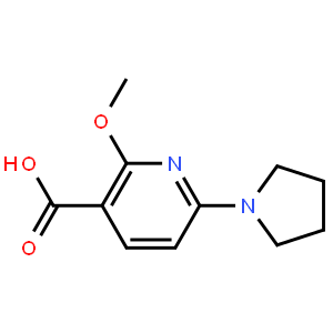 2-Methoxy-6-(pyrrolidin-1-yl)nicotinic acid