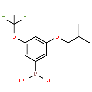 3-Isobutoxy-5-(trifluoromethoxy)phenylboronic acid