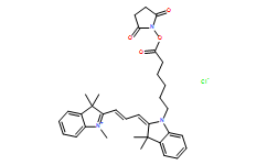 Cy3-NHS 活化酯