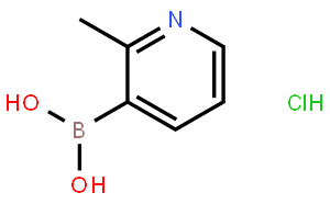 (2-甲基-3-吡啶基)硼酸盐酸盐