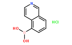 Isoquinoline-5-boronic acid, HCl