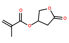 甲基丙烯酸5-氧代四氢呋喃-3-基酯,≥97%，含稳定剂MEHQ
