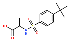((4-(叔丁基)苯基)磺酰基)丙氨酸