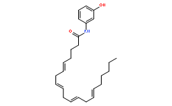[APExBIO]N-(3-hydroxyphenyl)-Arachidonoyl amide(solution),98%