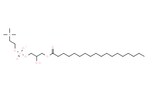 1-硬脂酰-sn-甘油-3-磷酰胆碱