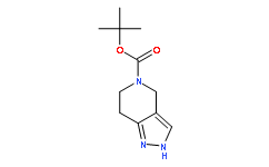 1H,4H,5H,6H,7H-吡唑并[4,3-c]吡啶-5-羧酸叔丁酯