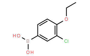 3-氯-4-乙氧基苯基硼酸