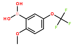 2-甲氧基-5-（三氟甲氧基）苯基硼酸
