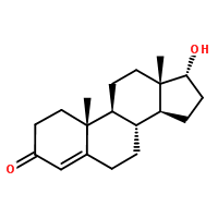 表睾酮