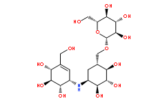 甲醇中井冈霉素