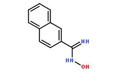 N'-羟基-2-萘甲脒,96%