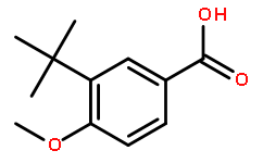 3-(叔丁基)-4-甲氧基苯甲酸,95%