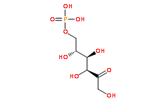 D-果糖-6-磷酸
