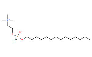 十四烷基磷酸胆碱