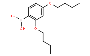 2,4-二丁氧基苯基硼酸