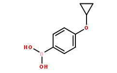 4-环丙氧基苯基硼酸