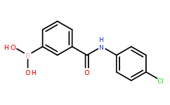 3-(4-Chlorophenylcarbamoyl)phenylboronic acid