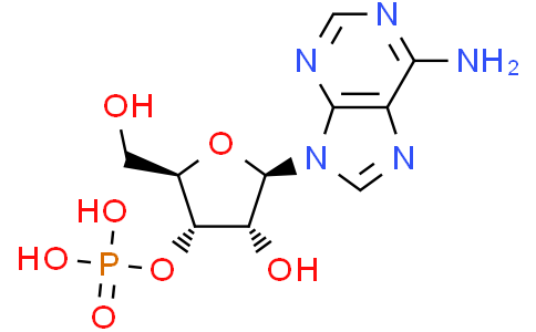 腺苷 3'-单磷酸，98%