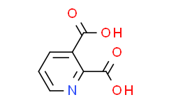 Quinolinic acid.